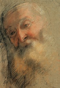Hoofd van een oude bebaarde man, 1584-1586 door Federico Barocci